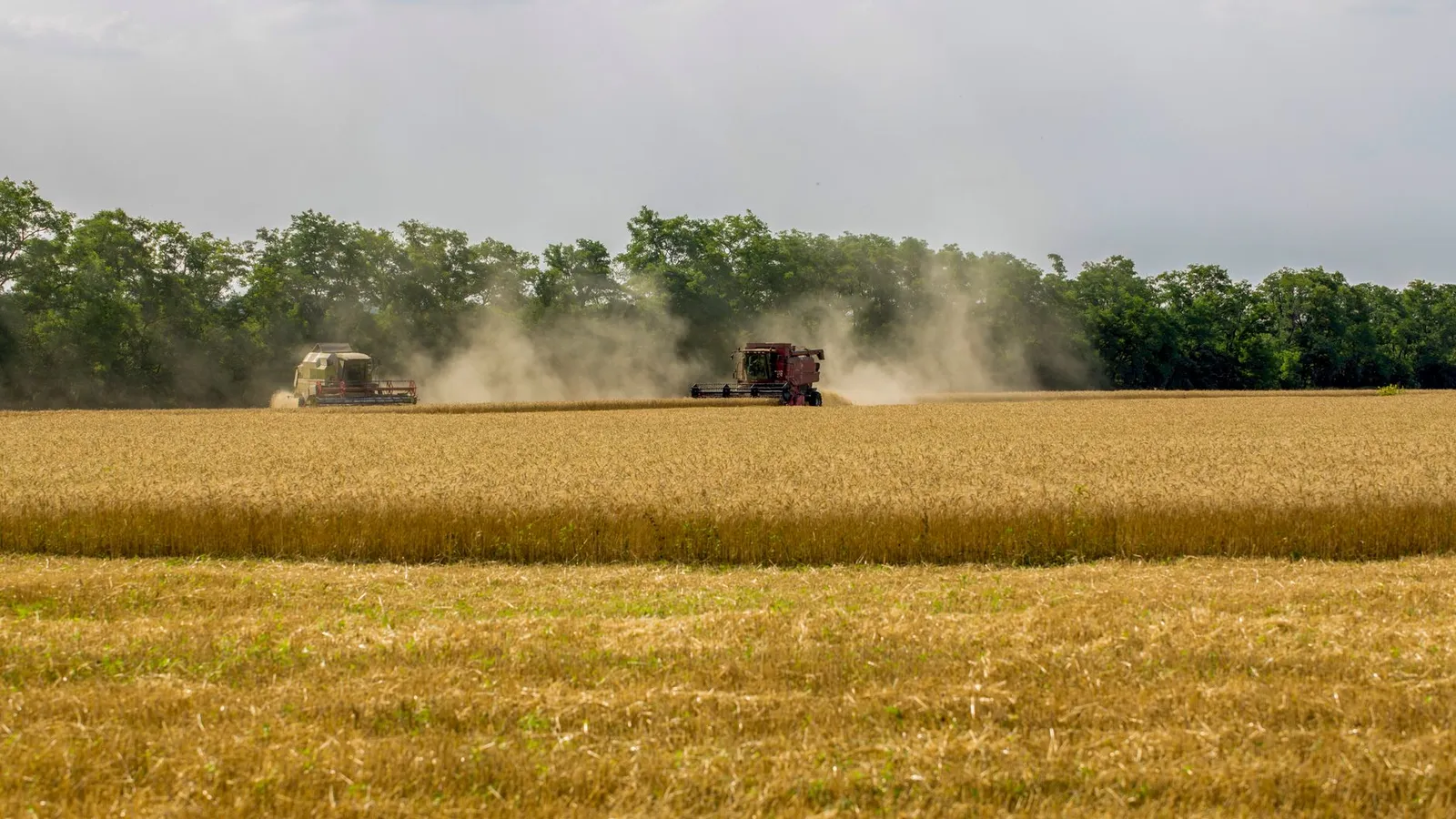 Khet Se — Agri & Farm Inputs storefront theme for Indian businesses